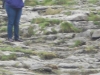 30-DSCN0355a