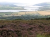 B-Ireland009