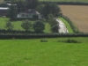 B-Ireland012