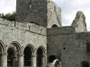B-Ireland025