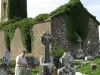B-Ireland034