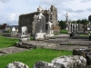 B-Ireland035