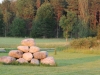077-Sweden 2014