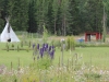 084-Sweden 2014